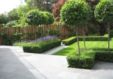 Patio and planting Wandsworth